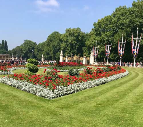 צילום-מסך-2025-05-16-ב-9.37.32